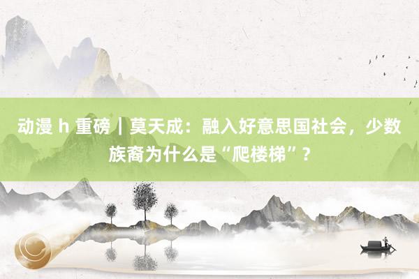 动漫 h 重磅｜莫天成：融入好意思国社会，少数族裔为什么是“爬楼梯”？