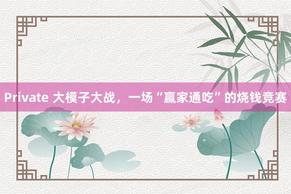 Private 大模子大战，一场“赢家通吃”的烧钱竞赛