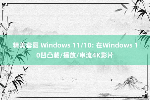 精美套图 Windows 11/10: 在Windows 10凹凸載/播放/串流4K影片