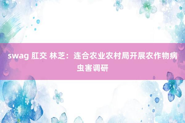 swag 肛交 林芝：连合农业农村局开展农作物病虫害调研