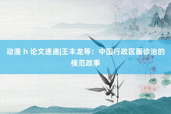 动漫 h 论文速递|王丰龙等：中国行政区画诊治的模范政事