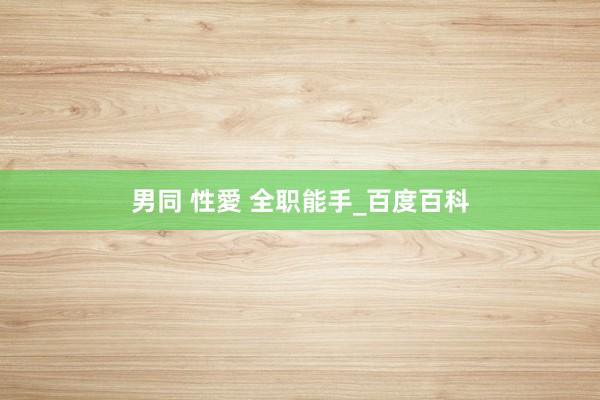 男同 性愛 全职能手_百度百科