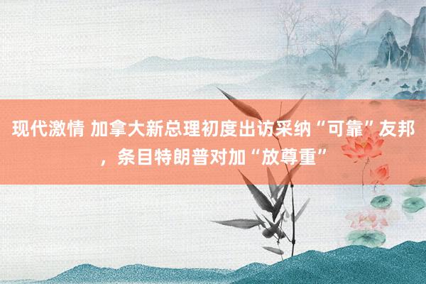现代激情 加拿大新总理初度出访采纳“可靠”友邦，条目特朗普对加“放尊重”
