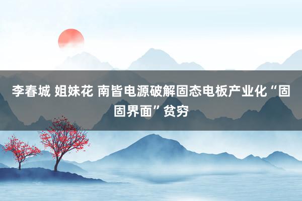 李春城 姐妹花 南皆电源破解固态电板产业化“固固界面”贫穷