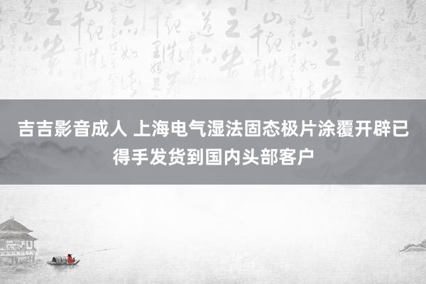 吉吉影音成人 上海电气湿法固态极片涂覆开辟已得手发货到国内头部客户
