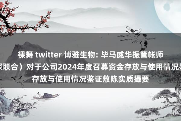裸舞 twitter 博雅生物: 毕马威华振管帐师事务所（独特精深联合）对于公司2024年度召募资金存放与使用情况鉴证敷陈实质撮要