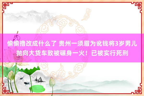 偷偷撸改成什么了 贵州一须眉为讹钱将3岁男儿抛向大货车致被碾身一火！已被实行死刑
