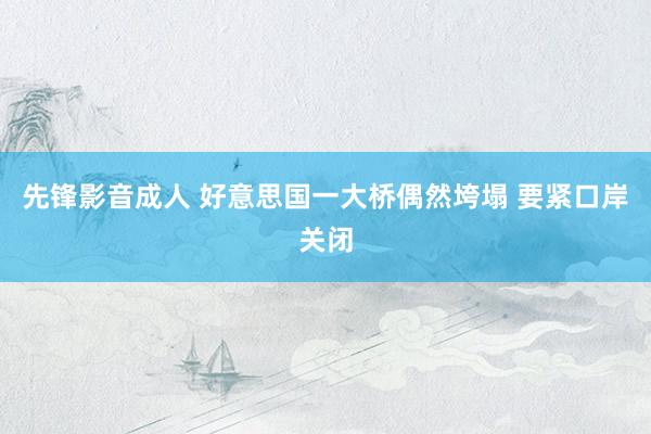 先锋影音成人 好意思国一大桥偶然垮塌 要紧口岸关闭