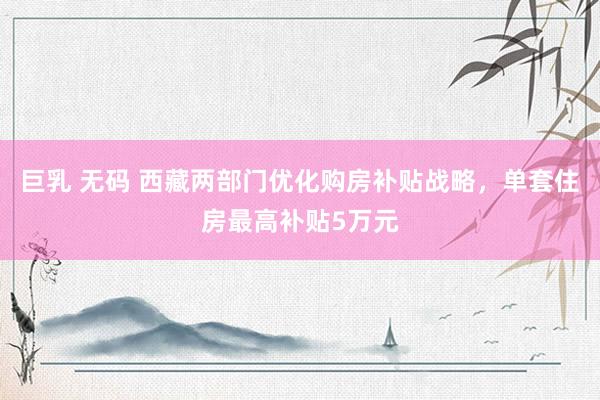 巨乳 无码 西藏两部门优化购房补贴战略，单套住房最高补贴5万元